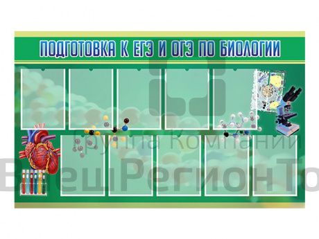 Стенд Подготовка к ЕГЭ и ОГЭ по биологии 150х90 см.