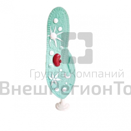 Модель "Инфузория-туфелька".