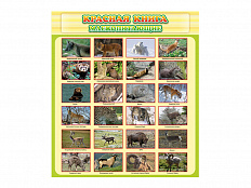 Стенд Красная книга - Млекопитающие