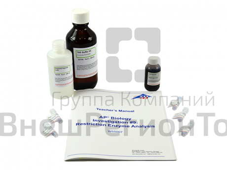 Лабораторный набор Биотехнология, ферментативный анализ ДНК.